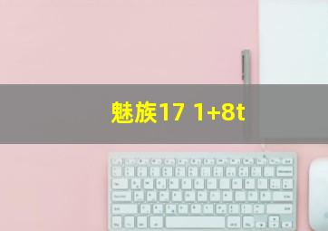 魅族17 1+8t